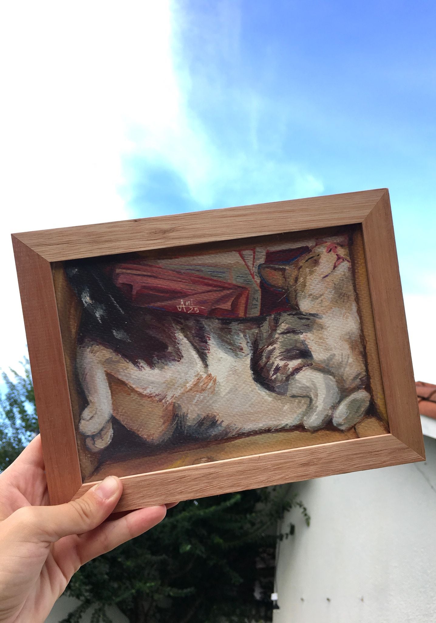 Gatito en una caja