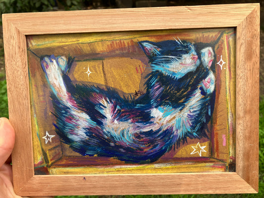 Gato en una caja I