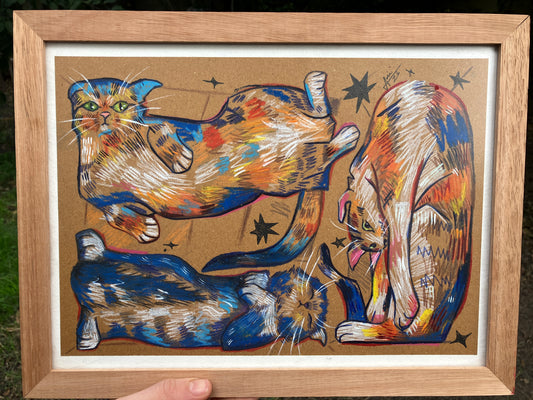 Gatos en caja II