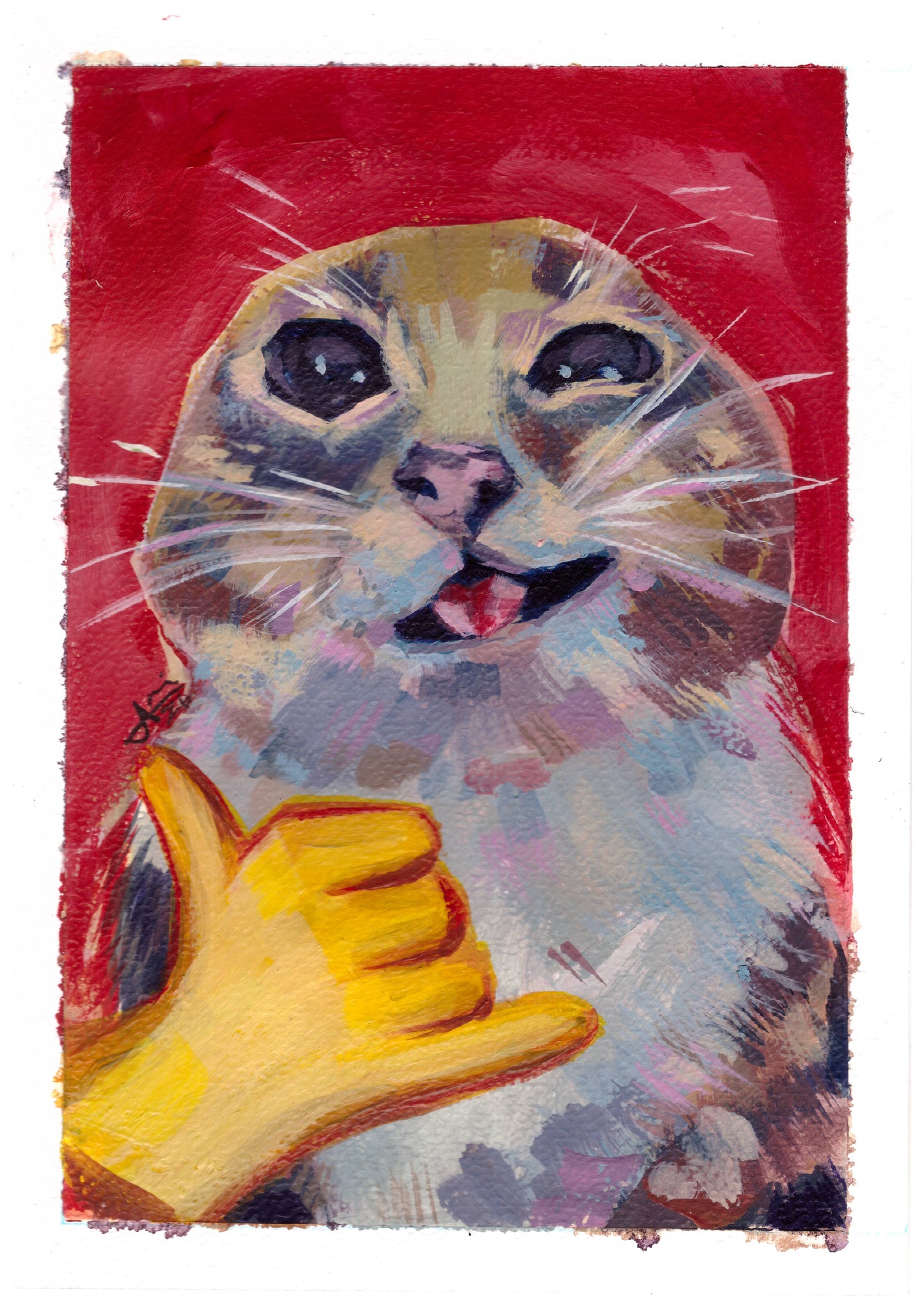 Gato 🤙